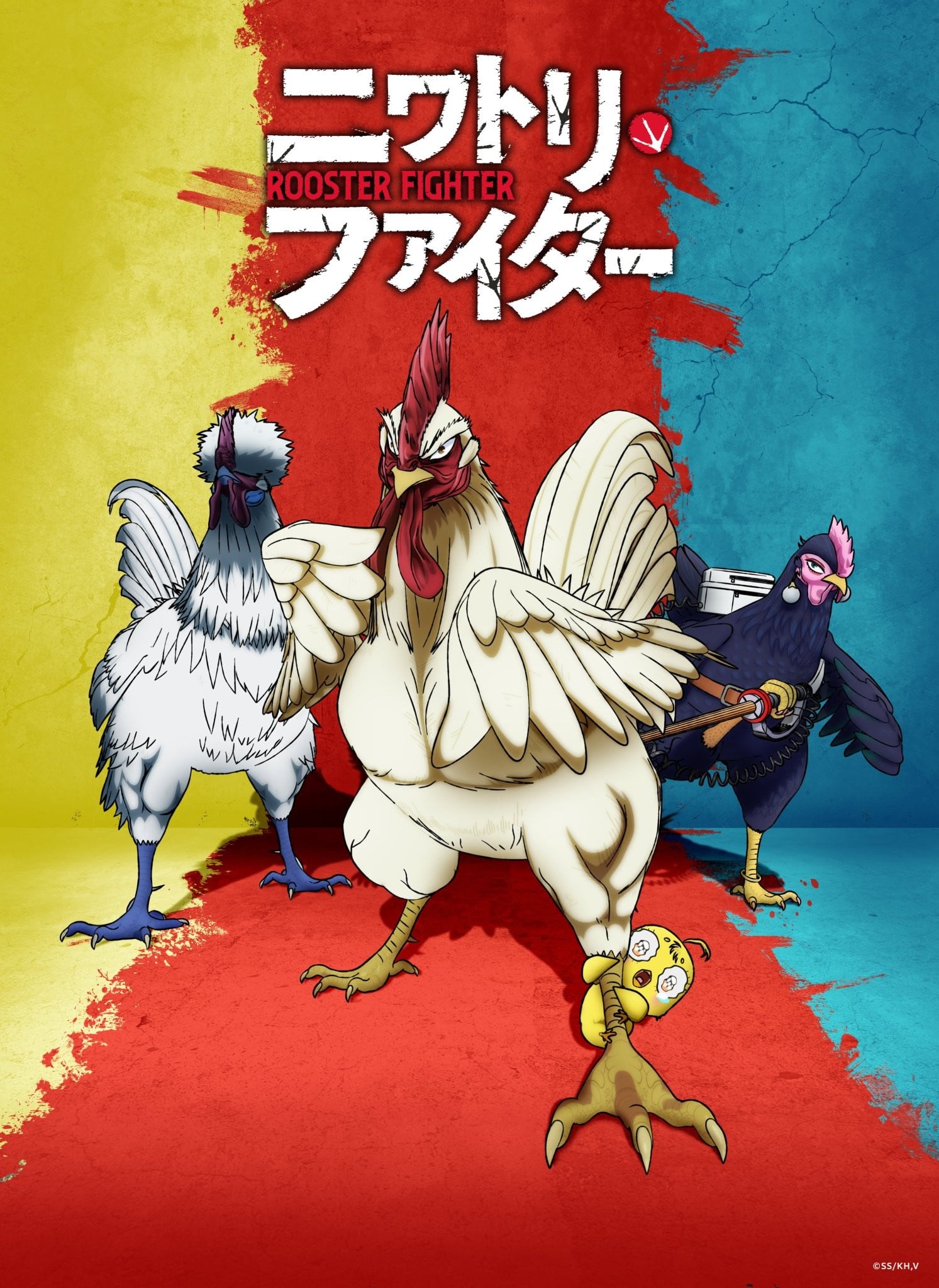 封面