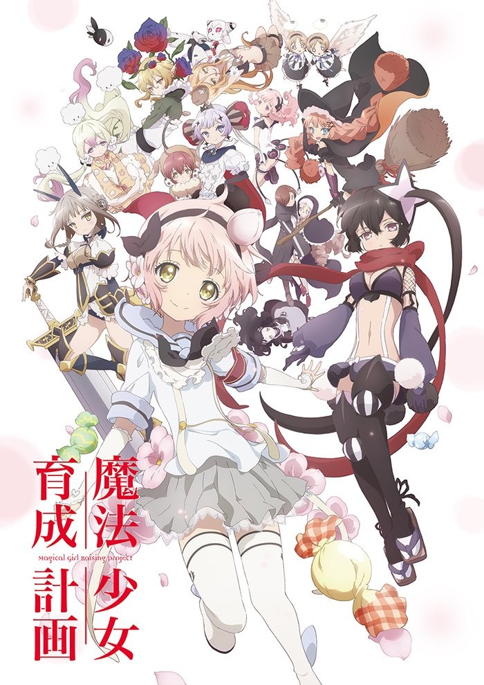 魔法少女育成计划封面