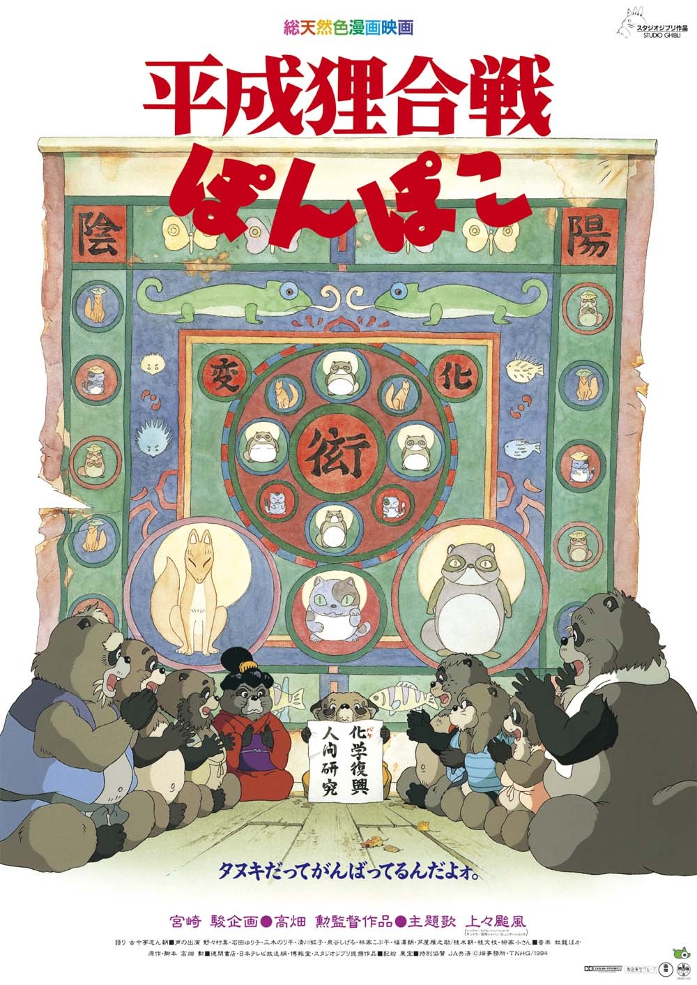 百变狸猫封面
