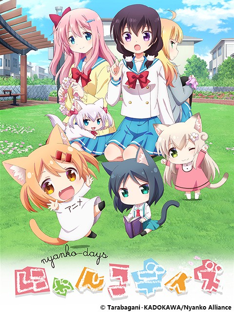 猫咪日常封面