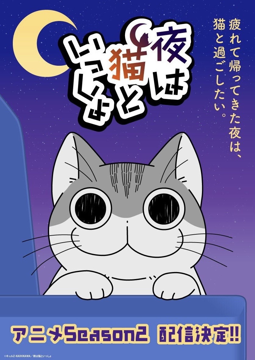 与猫共度的夜晚封面