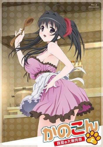 我的狐仙女友:真夏的大谢肉祭·下封面