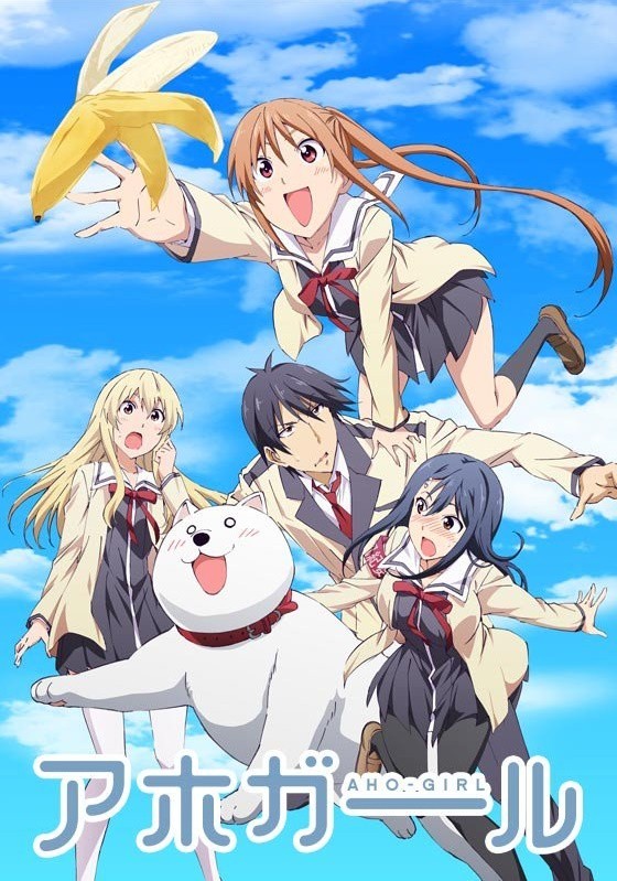 笨女孩封面