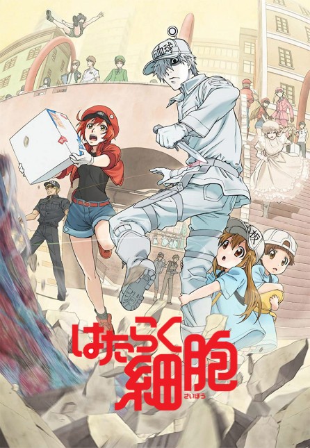 工作细胞封面