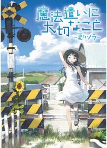 魔法使的条件 夏季的天空封面